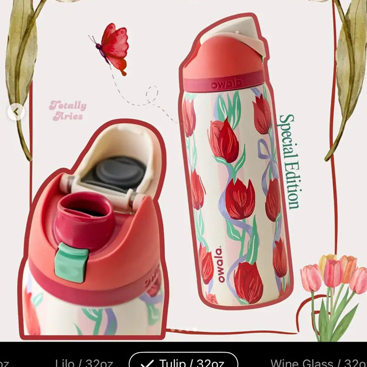 Stay Hydrated in Style – Vacuum Insulated Water Bottle with Straw Lid