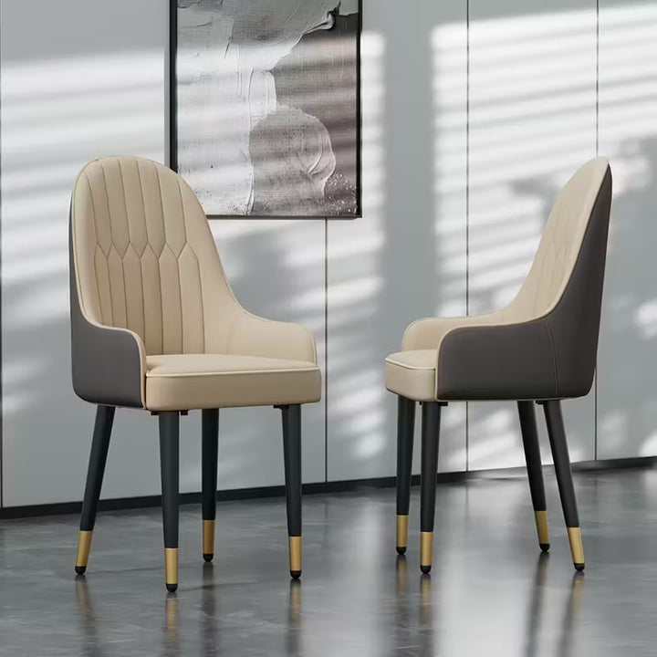 Dining Chairs Set Of 2: Elevate Your Dinning Space with Effortless Elegance